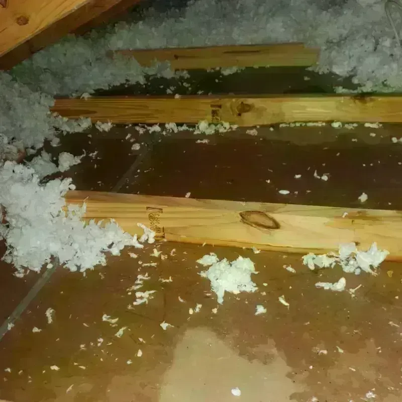 Attic Water Damage in Palestine, IL